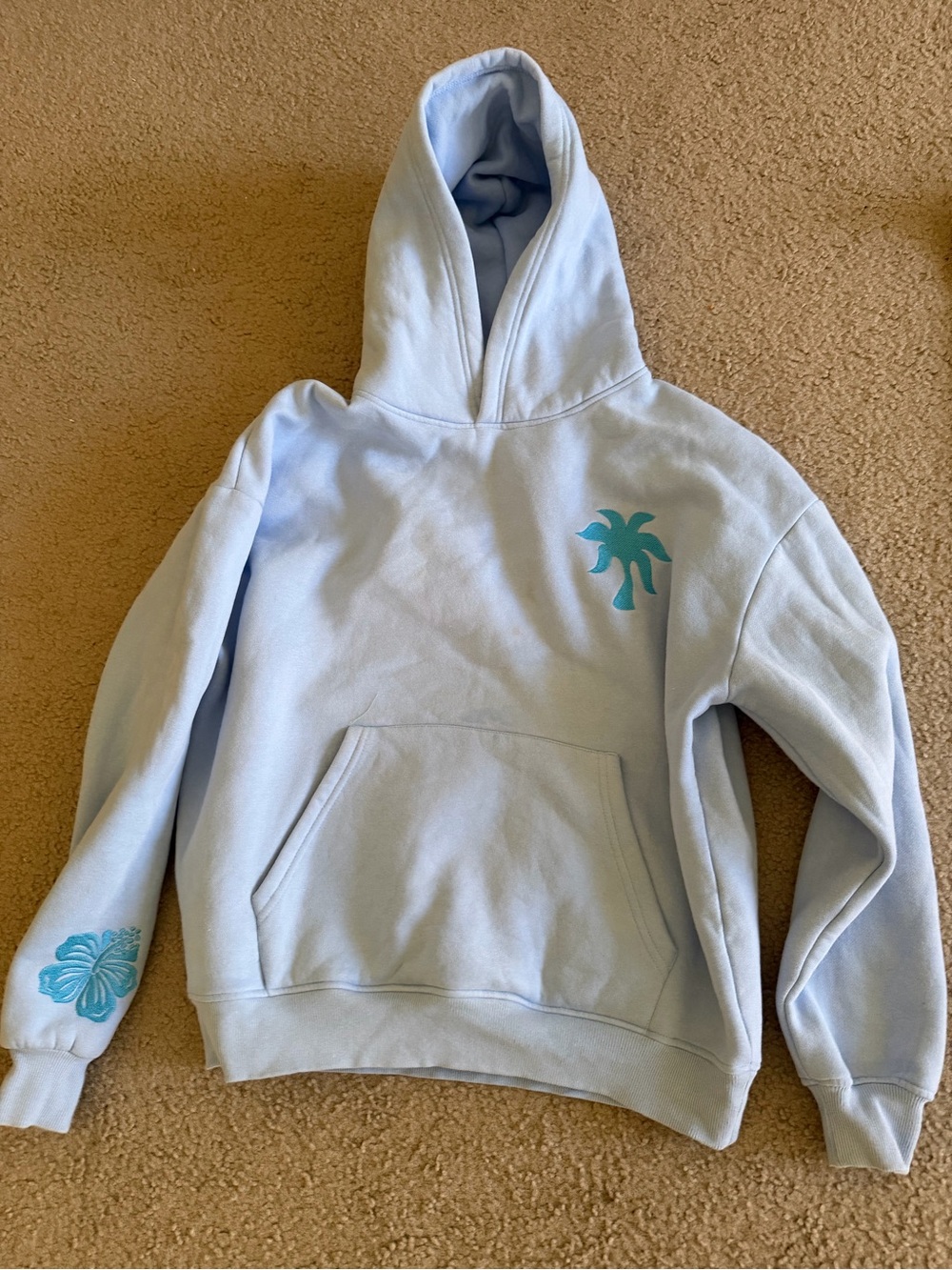 Blue pink palm puff hoodie perfect condition